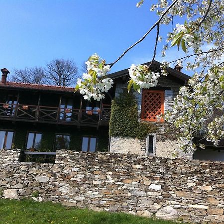 Appartement Il Ciliegio Selvatico à Verbania Extérieur photo