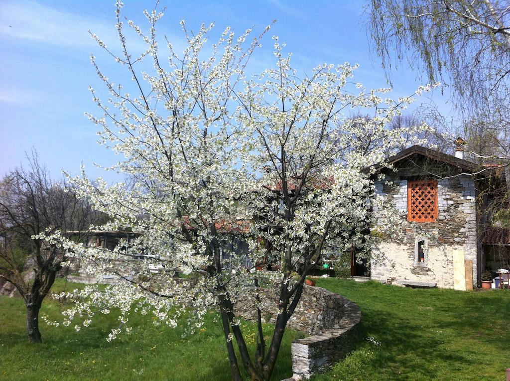 Appartement Il Ciliegio Selvatico à Verbania Extérieur photo