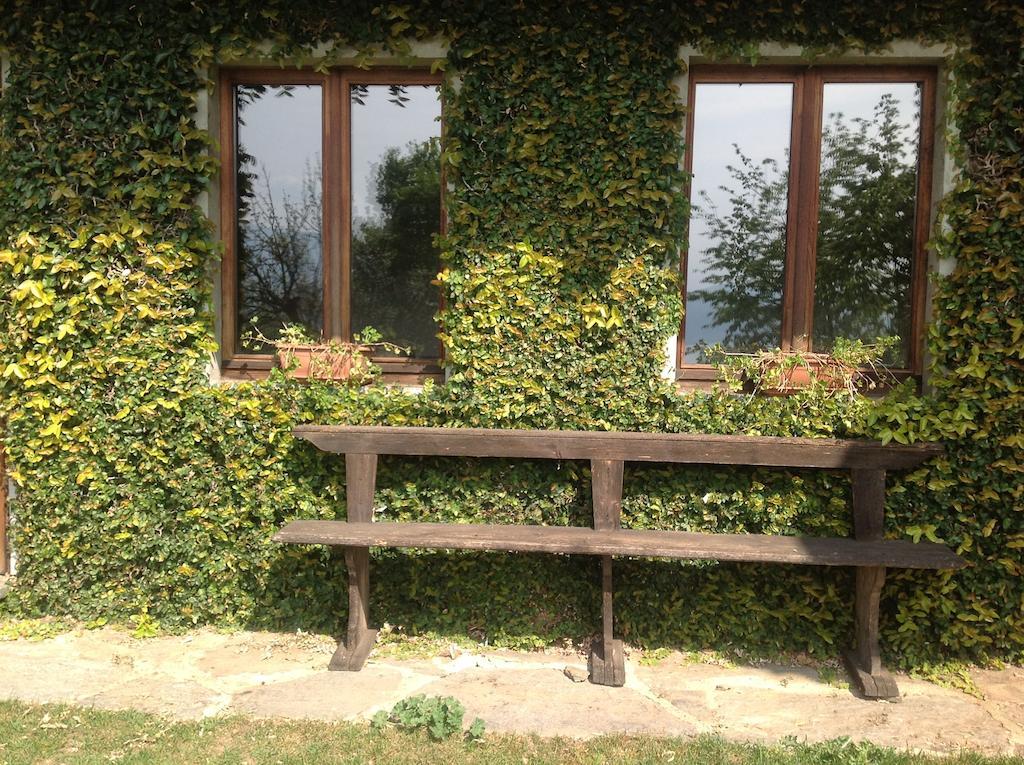 Appartement Il Ciliegio Selvatico à Verbania Extérieur photo