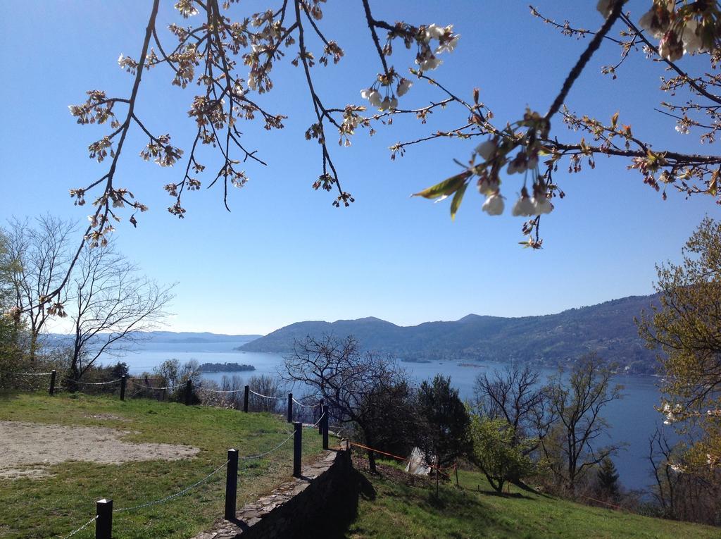 Appartement Il Ciliegio Selvatico à Verbania Extérieur photo