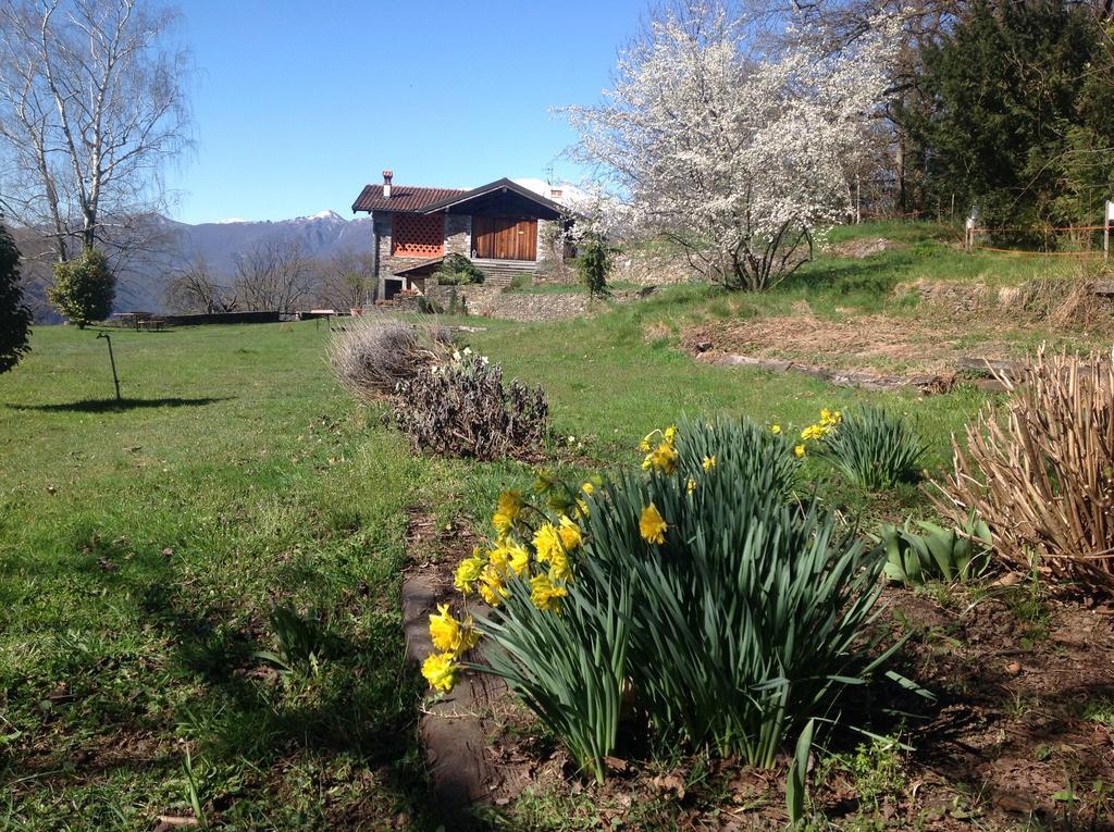 Appartement Il Ciliegio Selvatico à Verbania Extérieur photo