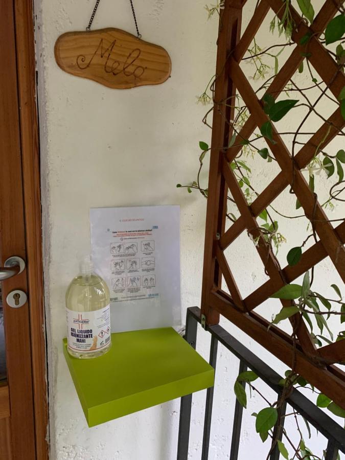 Appartement Il Ciliegio Selvatico à Verbania Extérieur photo