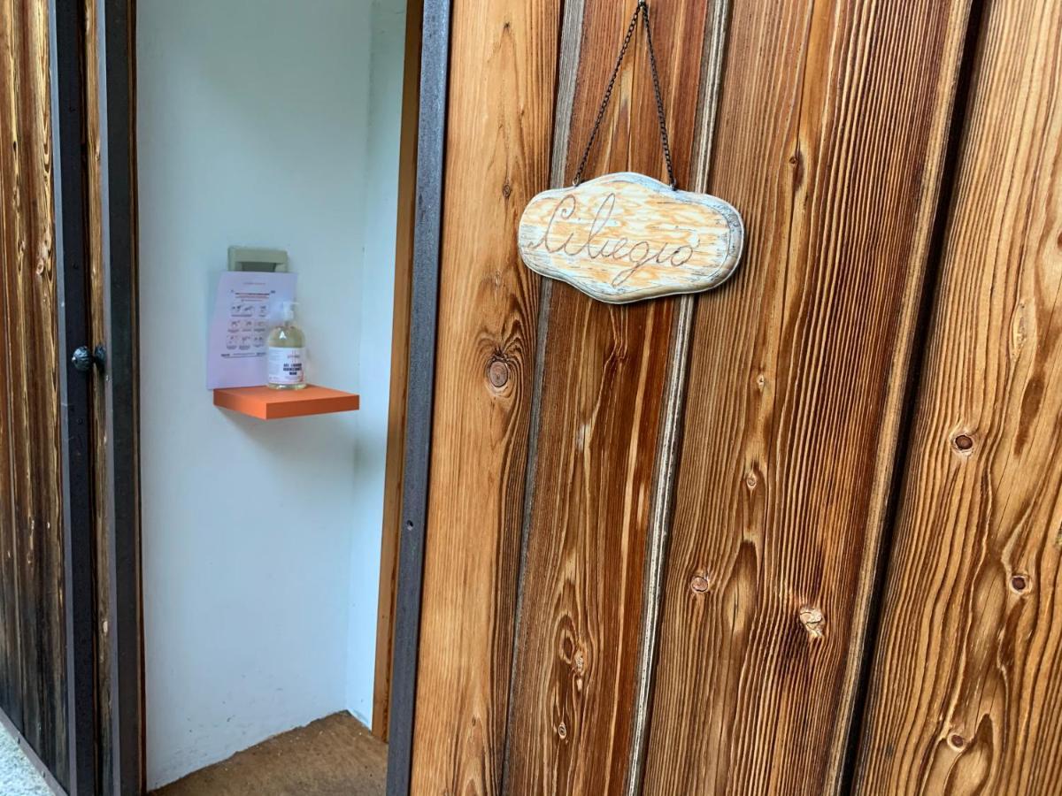 Appartement Il Ciliegio Selvatico à Verbania Extérieur photo